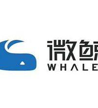 微鯨科技LOGO設計欣賞-科技企業LOGO設計說明